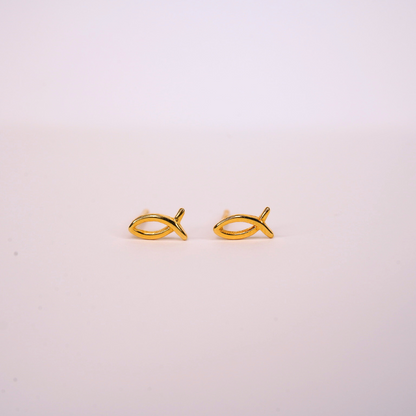 Goldfish delight studs